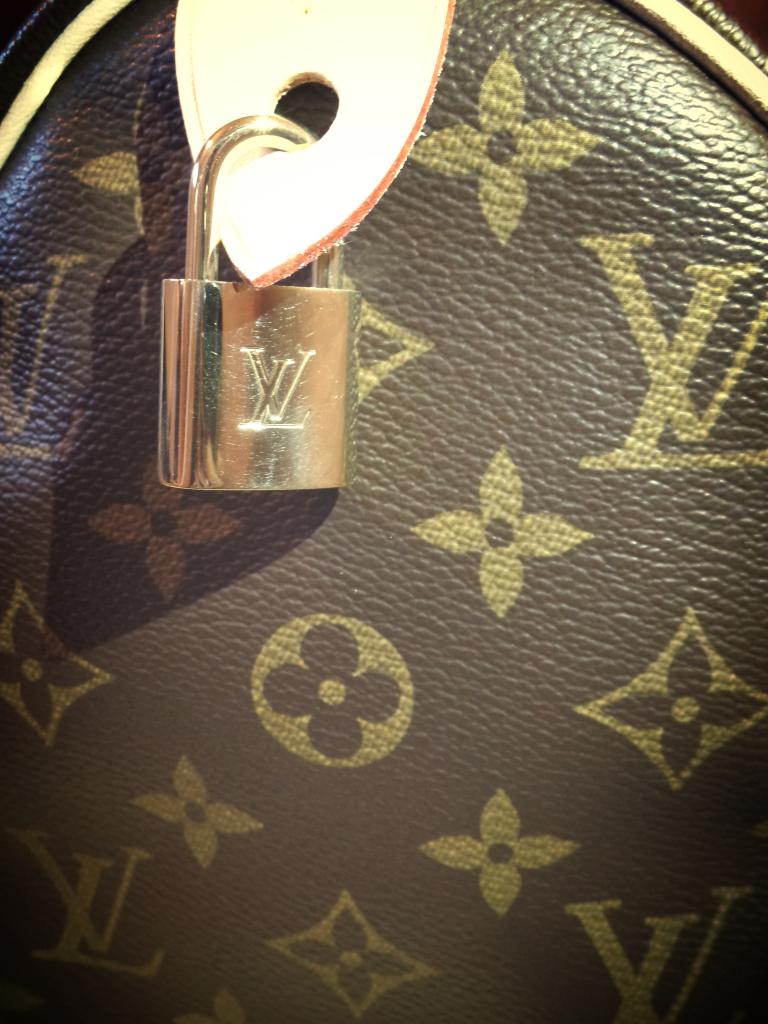 My First Louis Vuitton Purse! | Life. Love. Lindsey.